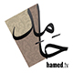 باللغة العربية | حامد عبد الصمد
